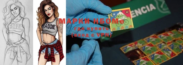 гашик Абаза