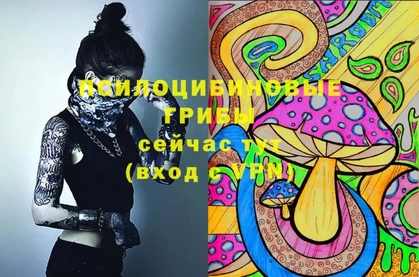 гашик Абаза