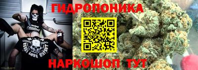 мдпв Гай