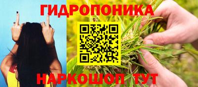 спиды Гагарин