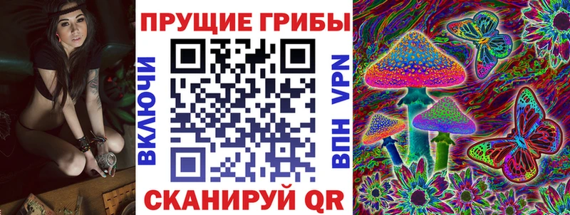 Галлюциногенные грибы мухоморы дарнет шоп Карпинск