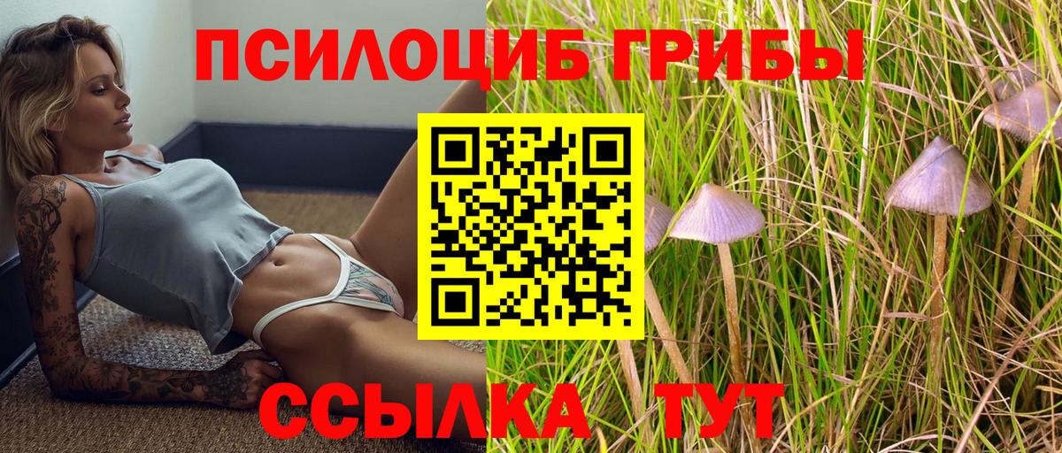 Галлюциногенные грибы Magic Shrooms Карпинск