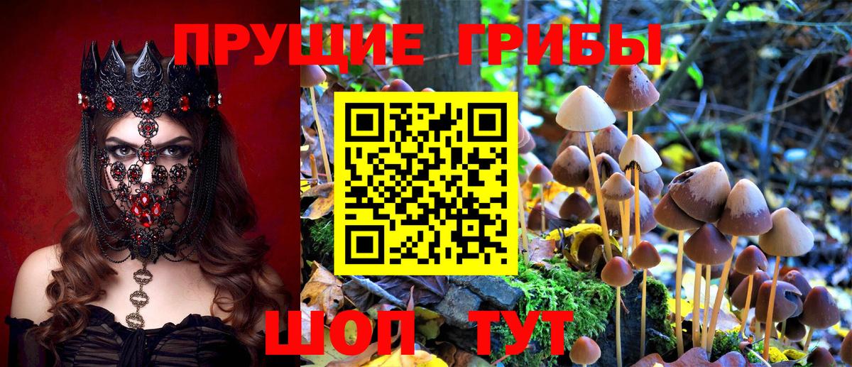 Псилоцибиновые грибы MAGIC MUSHROOMS  Вход с VPN  Псилоцибиновые грибы Psilocybine cubensis  Карпинск 